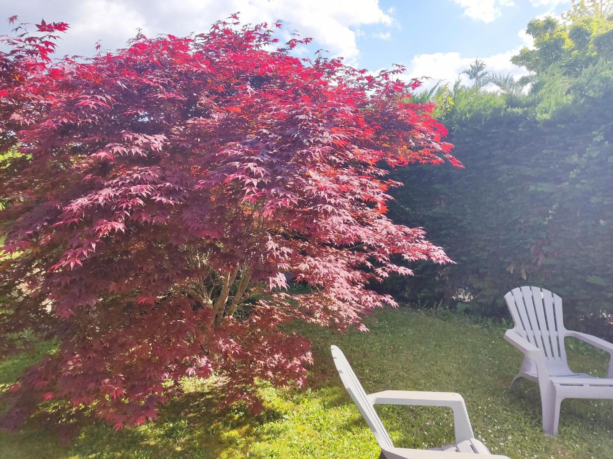Bed and Breakfast Chez Isa Et Dens Marsac-sur-l'Isle Zewnętrze zdjęcie